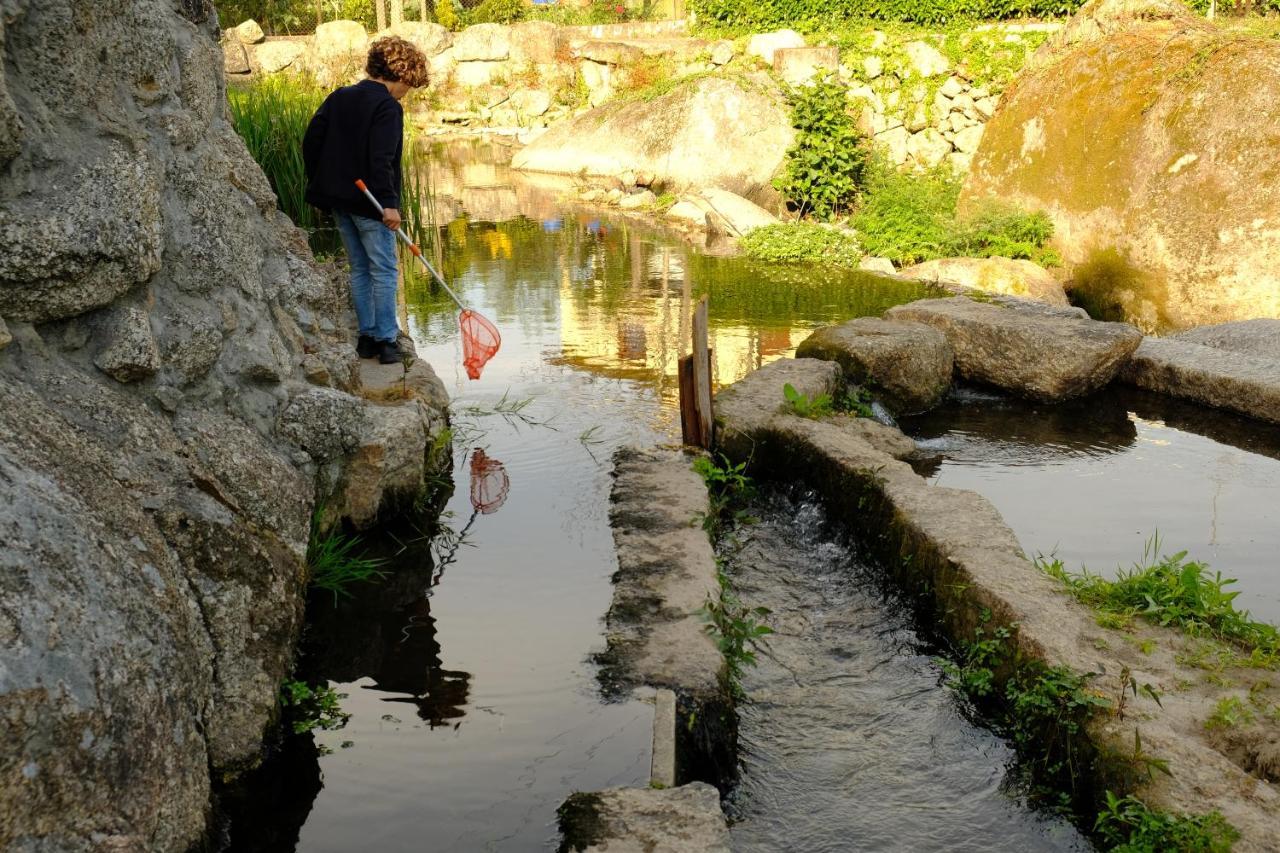 Refugio House Natura Moinho De Agua - Eco House Guimarães Esterno foto