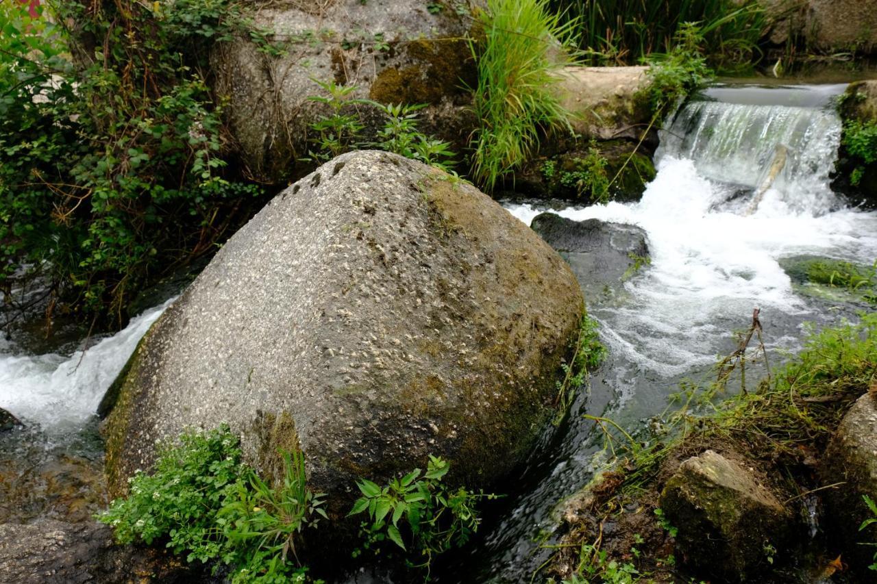 Refugio House Natura Moinho De Agua - Eco House Guimarães Esterno foto